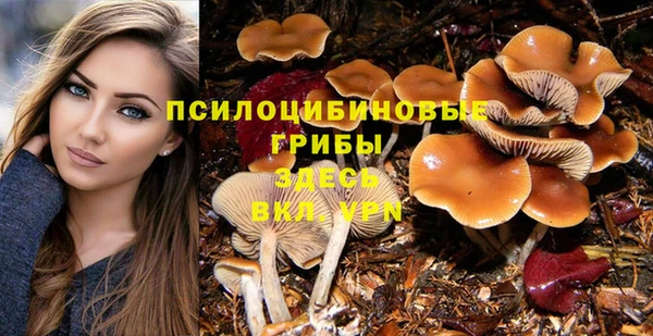 прущая мука Алзамай